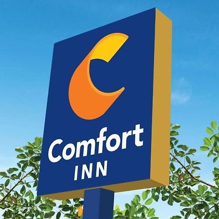 Comfort Inn Martinsville Buitenkant foto
